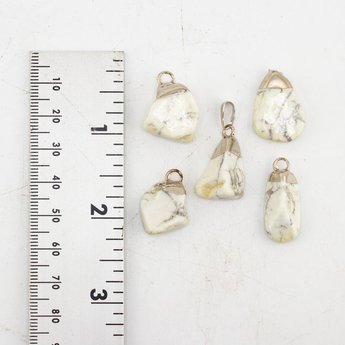 Howlite Mixed Shape Pendants, 5 Pieces in a Pack, #069