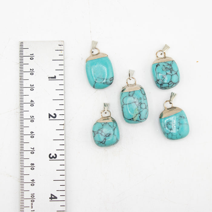 Turquoise Howlite Mixed Shape Pendants, 5 Pieces in a Pack