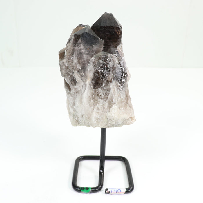 Natural Smoky Quartz Point on Metal Stand, 750-1000 Gr, #003