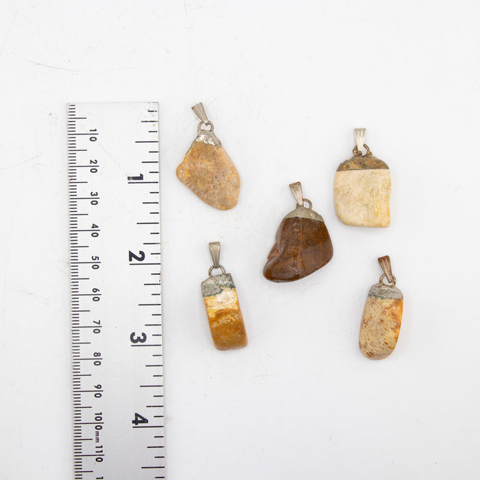 Coral Fossil Mixed Shape Pendants, 5 Pieces in a Pack