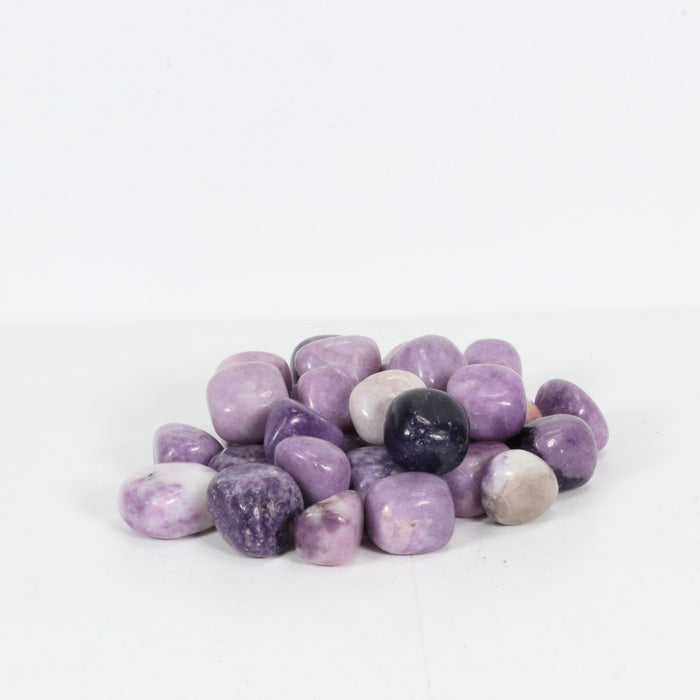 Lepidolite Tumbled Stone, 2-3cm, 1 Lb