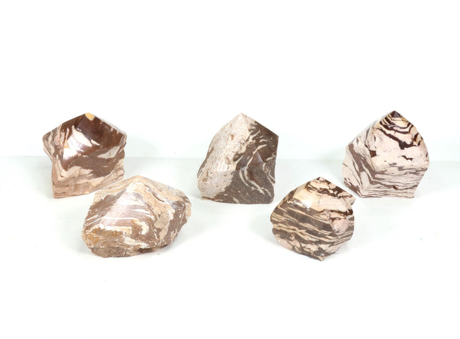 Zebra Jasper Power Point, 3"-4" Inch, 200-400gr Each, 1 Piece