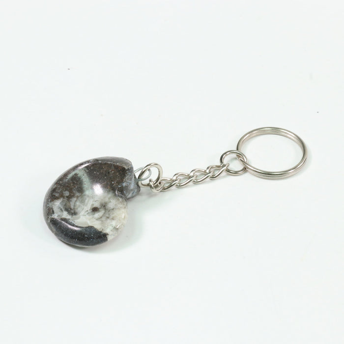 Goniatite Key Chain, 1.10" x 1.40" x 0.33" Inch, 10 Pieces in a Pack, #036