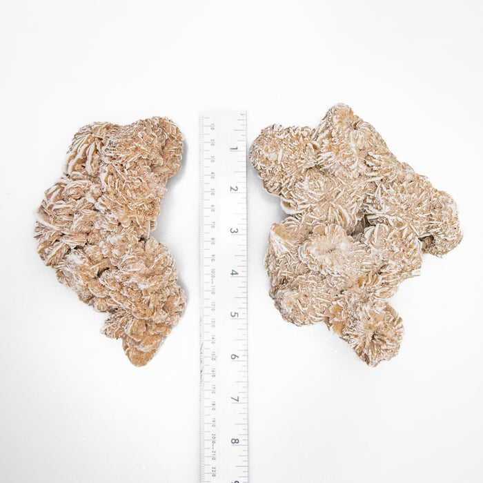 Desert Rose Rough Stone, Large, 1 Piece