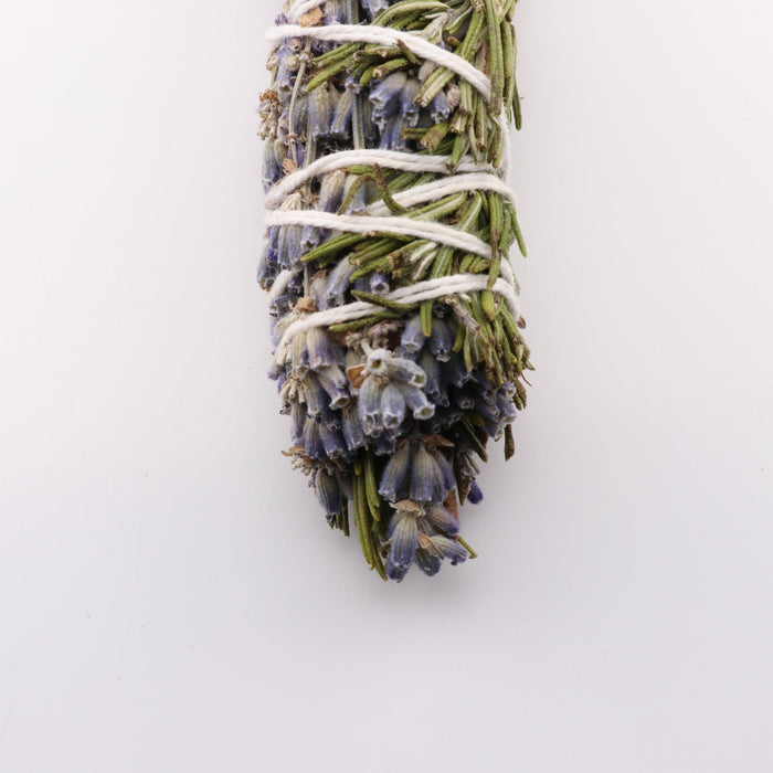 Rosemary Lavender, Chinook Tribe OR, 8-9 Inches, 5 Pieces in a Pack #009