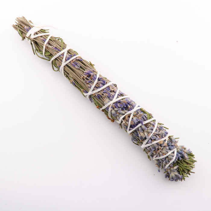 Rosemary Lavender, Chinook Tribe OR, 8-9 Inches, 5 Pieces in a Pack #009