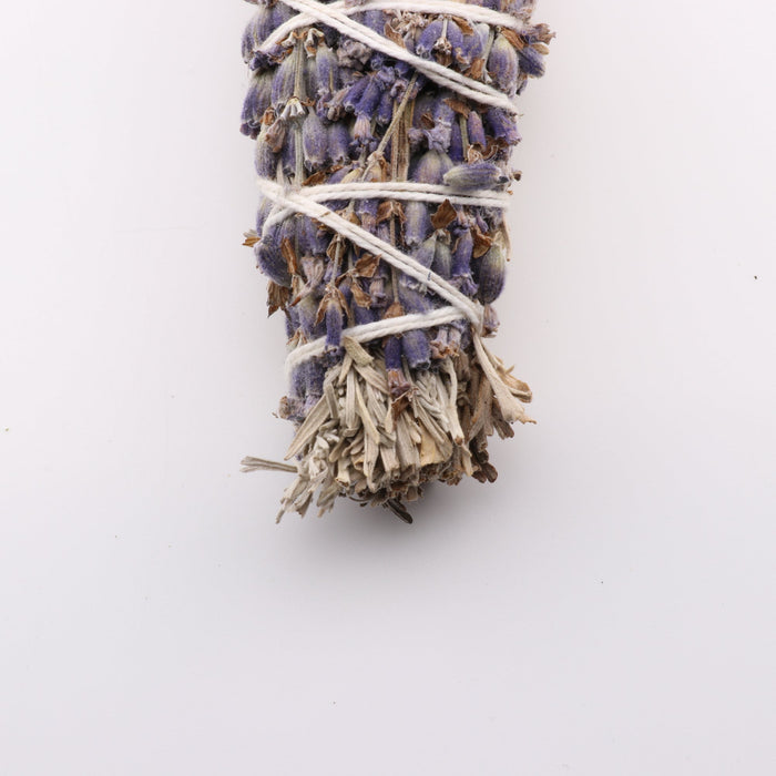Mountain Sage, Lavender, Chinook Tribe OR, 8-9 Inches, 5 Pieces in a Pack #013