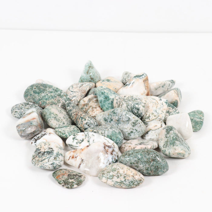 Tree Agate Tumbled Stone, 2-3cm, 1 Lb