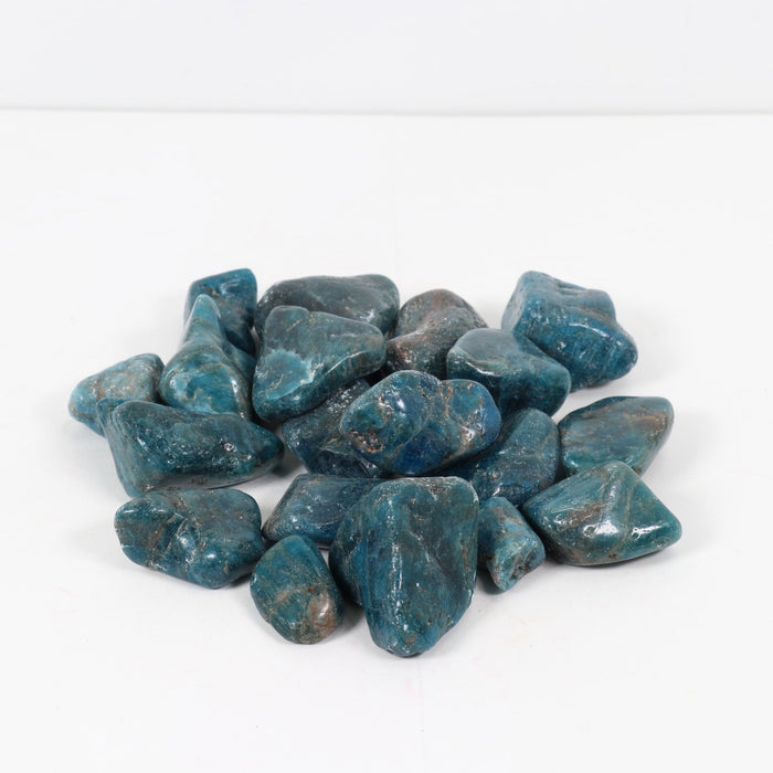 Blue Apatite Tumbled Stone, 2-3cm, 1 Lb