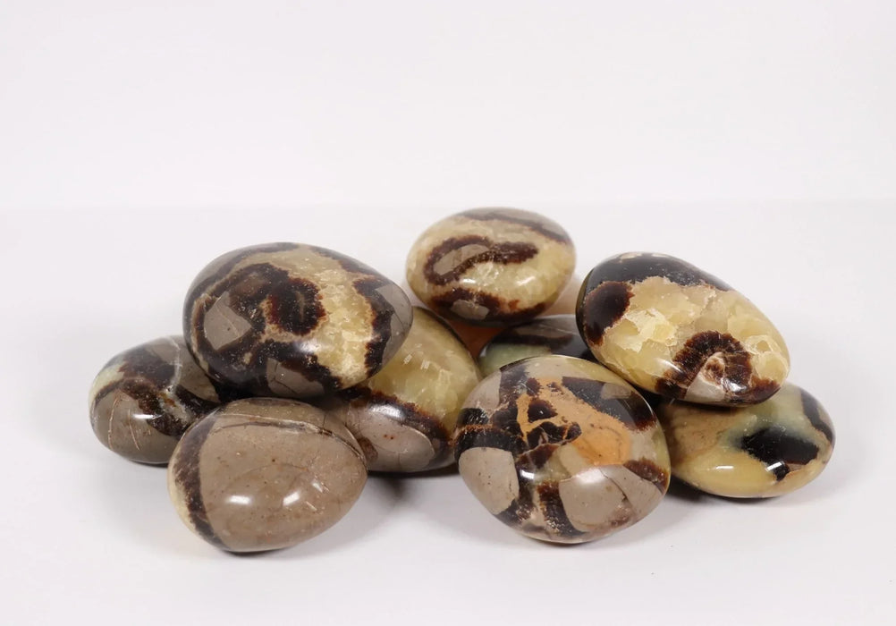 Septarian Palm Stone, ~2.5" Inch, 0-100 gr, 1 Piece #048