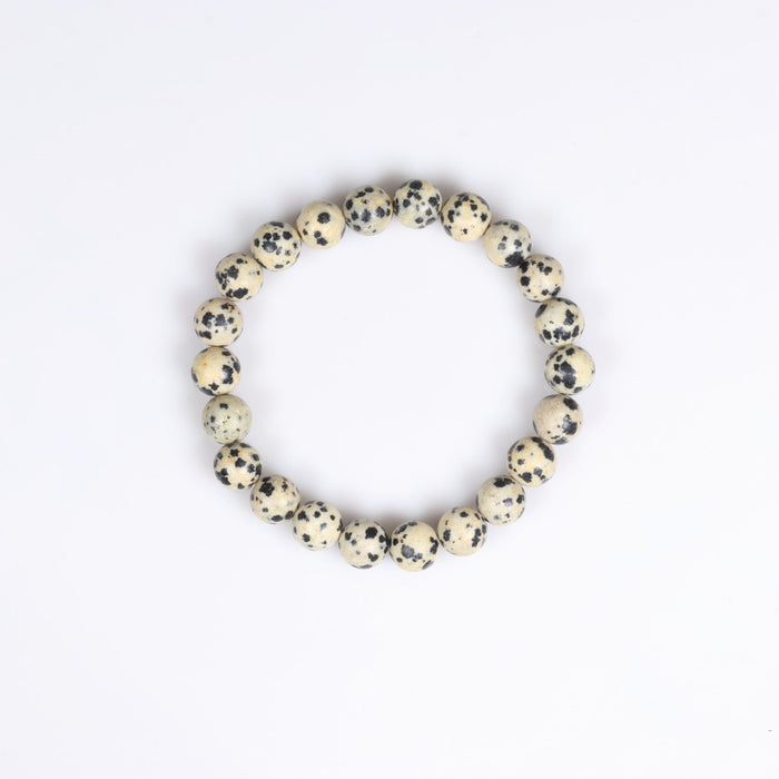 Dalmatian Jasper Bracelet, No Metal, 8 mm, 5 Pieces in a Pack, #044