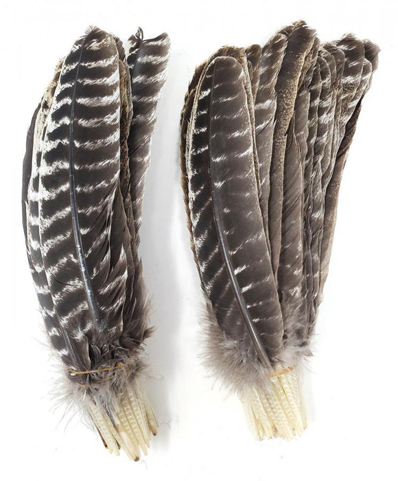 Genuine Turkey Barred Feathers, 12"-13" Inch, Bulk Pack, (10 Pieces in a Pack)