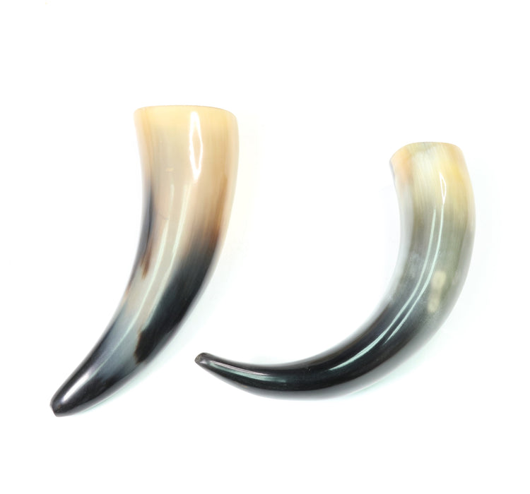 Viking Buffalo Horn, Bone, 6" inch, #001