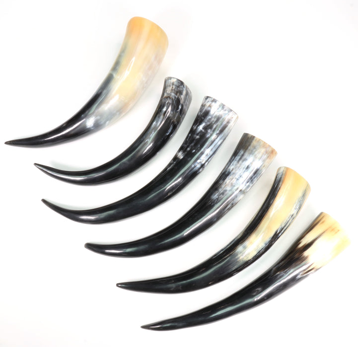 Viking Buffalo Horn, Black, 12" inch, #003
