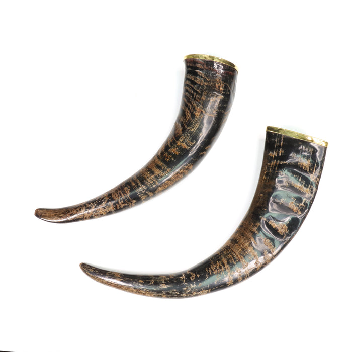 Viking Buffalo Snakeskin Horn, Carved, Black, 10" inch