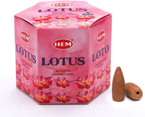 HEM Lotus, Backflow Cones, 12 Pack  (40 cones each pack), 480 Cones
