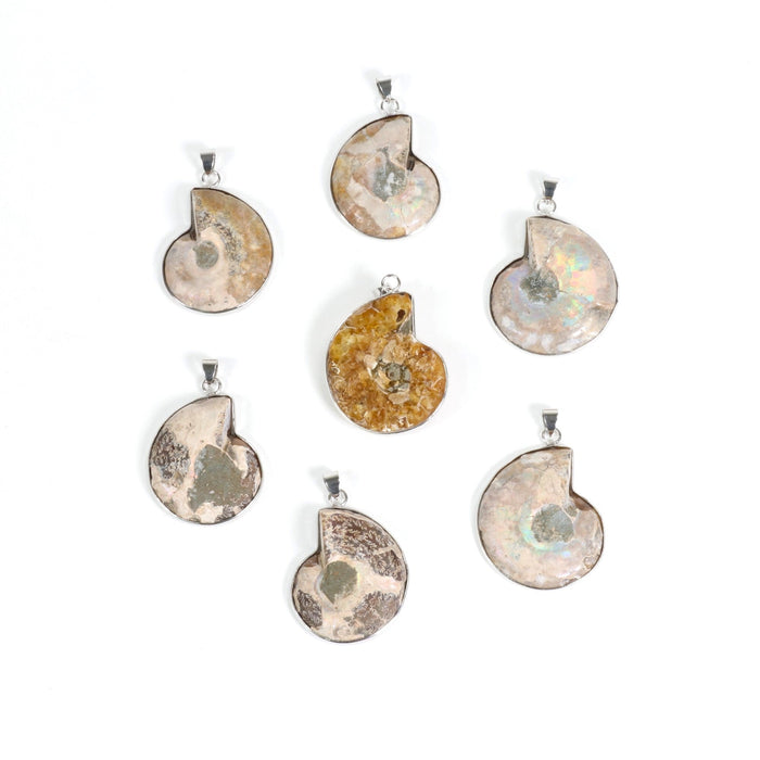 Ammonite Pendants, 1.30" x 1.70" x 0.30" Inch, 5 Pieces in a Pack, #074