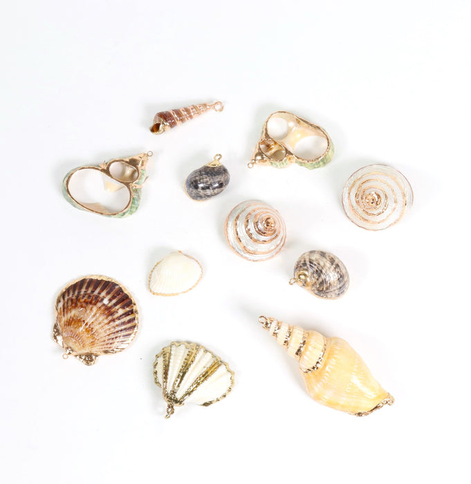 Shell Shaped Pendants, 0.70" x 1.40" Inch, 5 Pieces in a Pack, #060