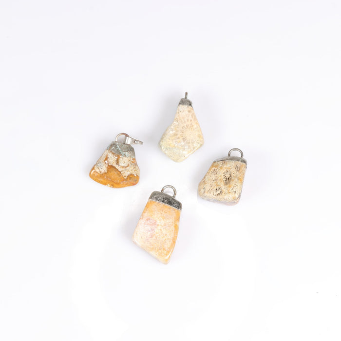 Coral Fossil Mixed Shape Pendants, 0.70" x 1.15" Inch, 5 Pieces in a Pack, #009