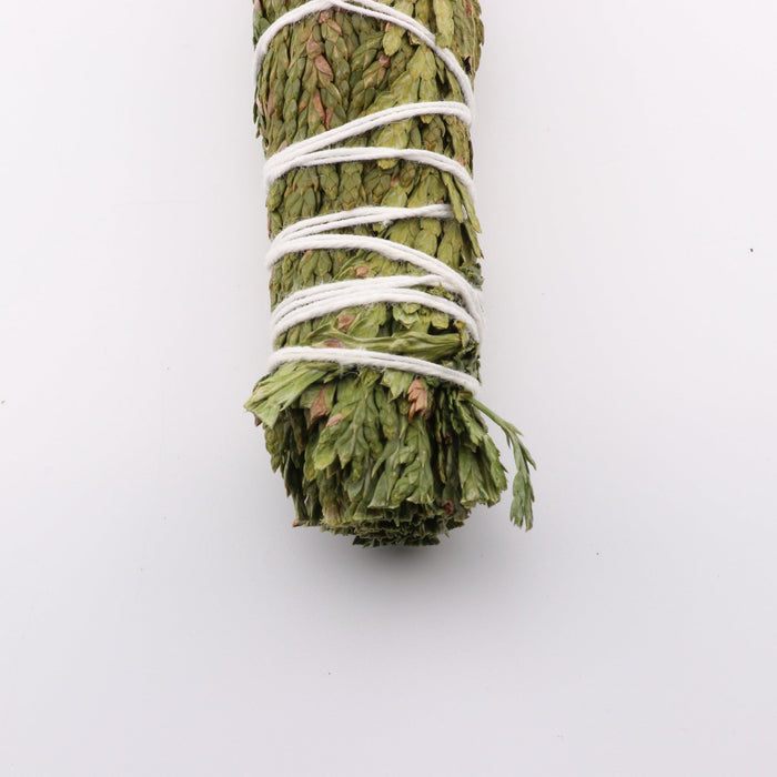 Cedar Smudge, Chinook Tribe OR, 7-8 Inches, 5 Pieces in a Pack #010