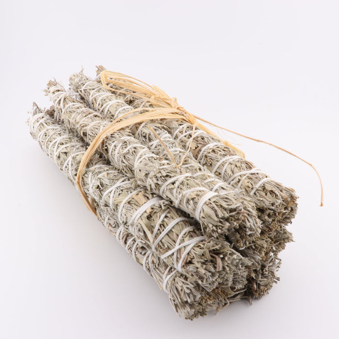 Mountain Sage Smudge, Chinook Tribe OR, 7-8 Inches, 5 Pieces in a Pack #012