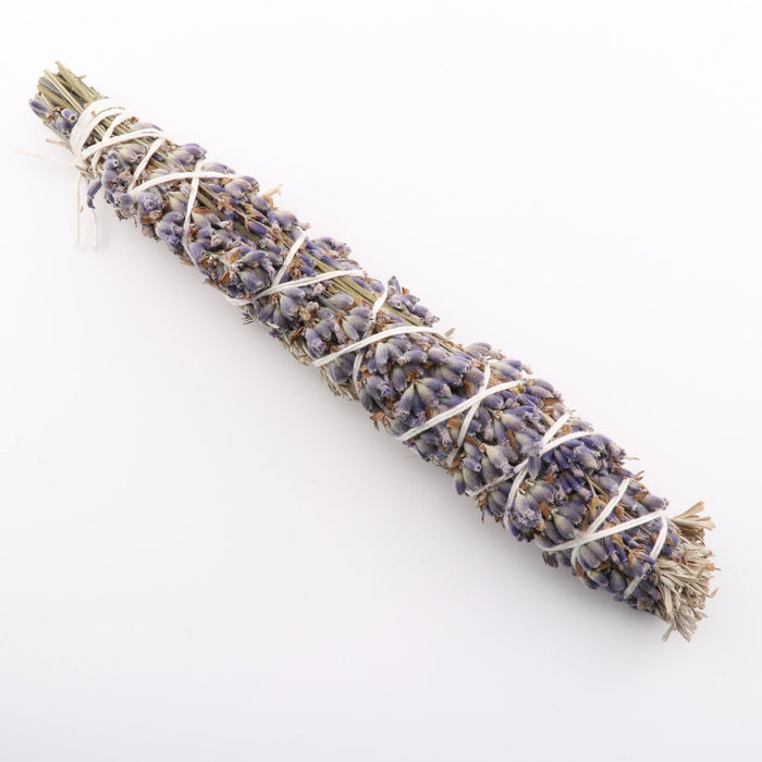 Mountain Sage, Lavender, Chinook Tribe OR, 8-9 Inches, 5 Pieces in a Pack #013